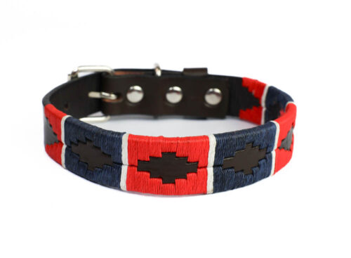 BGM Argentine Dog Collar Cazador
