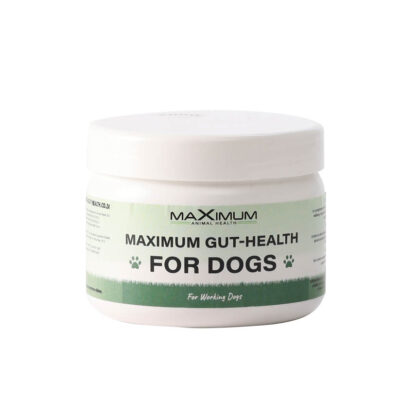 Max Gut Health Dog
