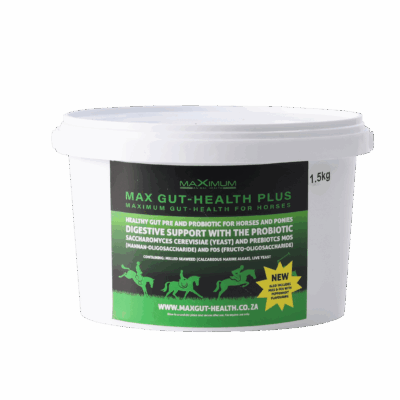 Max Gut Health Plus