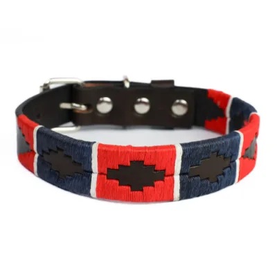 BGM Argentine Dog Collar Cazador