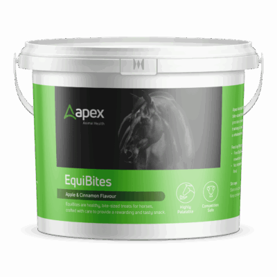 Apex EquiBites Apple & Cinnamon Treats 1kg