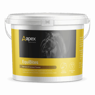 Apex EquiBites Banana & Caramel Treats 1kg