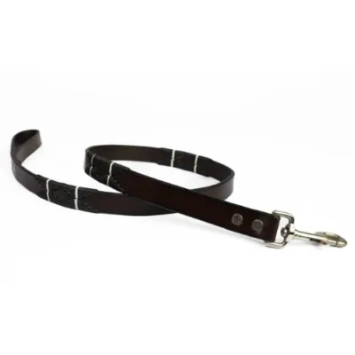 BGM Argentine Dog Leash Padrillo
