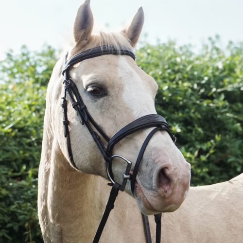 Unicorn Tack Anatomic Flash Bridle Brown