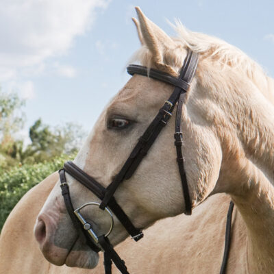 Unicorn Tack Flash Bridle with Reins Brown