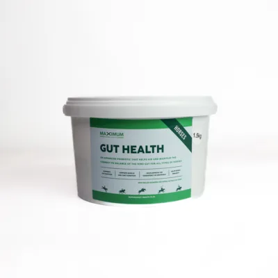 Max Gut Health