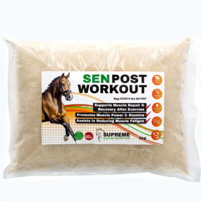 SEN Post Workout Refill