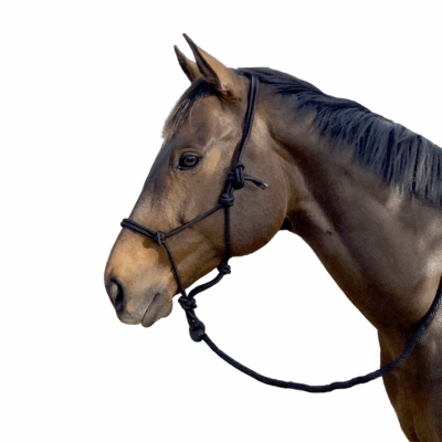 EquiStyle Knotted Rope Halter 8mm with Lead Navy