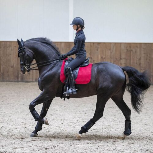 LeMieux ProSport Dressage Square Suede Chilli - Image 2
