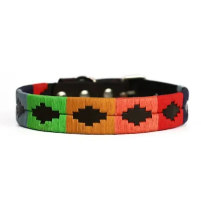 BGM Argentine Dog Collar Bandera