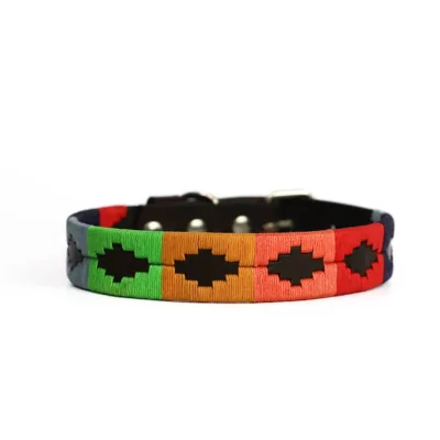 BGM Argentine Dog Collar Bandera