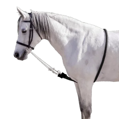 Capriole Lunging Snake