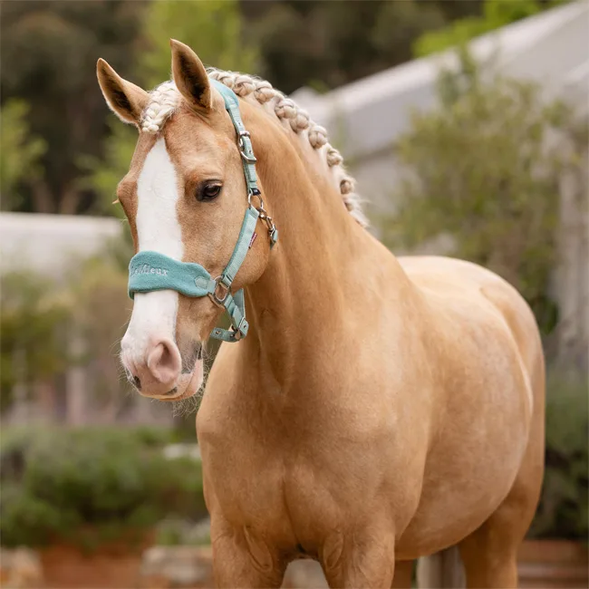 LeMieux Vogue Fleece Headcollar & Leadrope Lagoon - Image 2