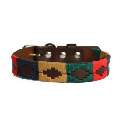 BGM Argentine Dog Collar Amigo