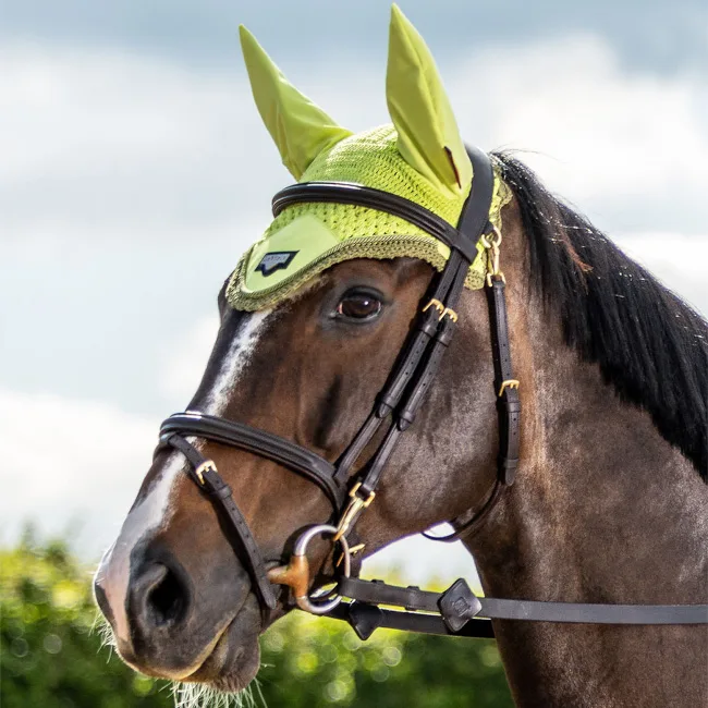 LeMieux Loire Fly Hood Kiwi (Large) - Image 2