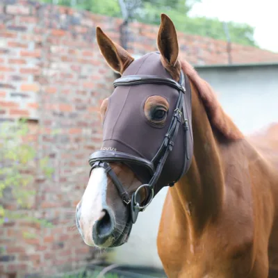 Equus Ferus Hoody Chocolate Brown