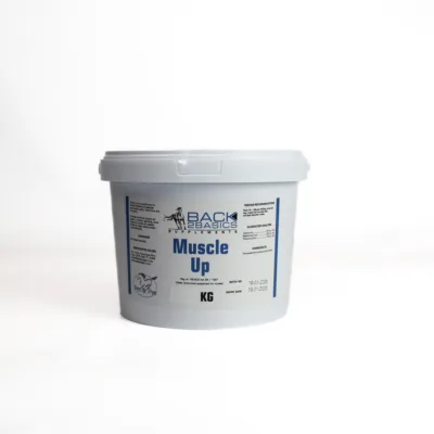 Back2Basics Muscle Up