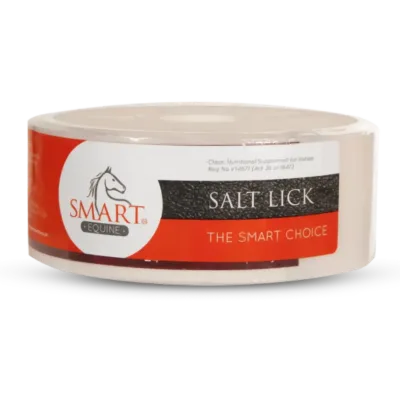 Smart Salt Lick