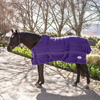 Stable Buster Duvet Blanket - Purple (115cm - 145cm)