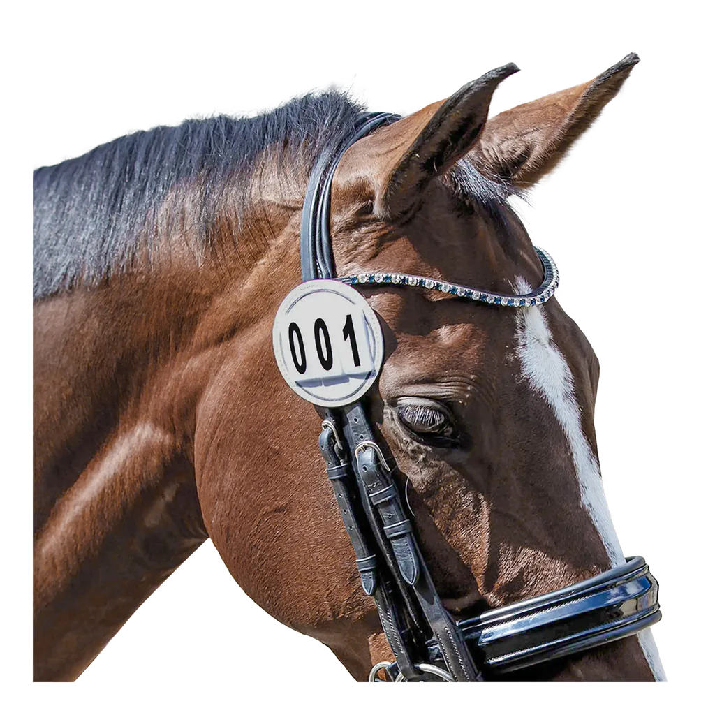 Bridle Numbers Round - Image 2