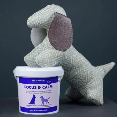 Max Focus & Calm Health for Dogs