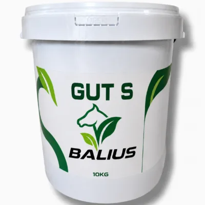 Balius Gut Solution