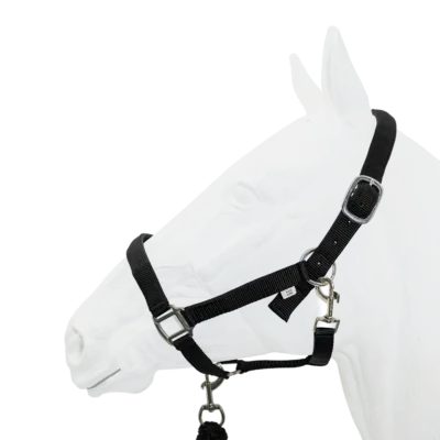 Equistyle Padded Halter with Rope Lead - Black