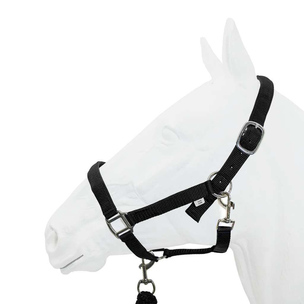 Equistyle Padded Halter with Rope Lead - Black