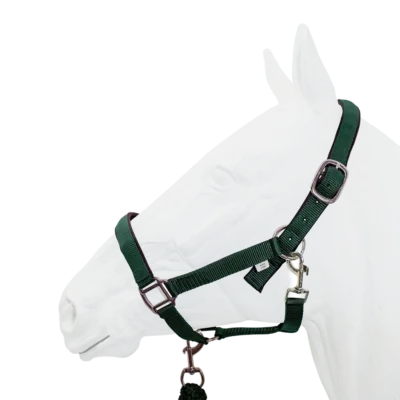 Equistyle Padded Halter with Rope Lead - Green