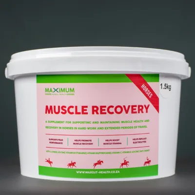 Maximum Muscle Recovery with Electrolytes