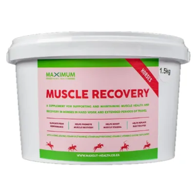 Maximum Muscle Recovery with Electrolytes