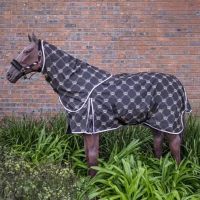 Rain Sheet & Neck Combo Crown with Mesh Lining - Black (125cm - 155cm)