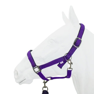 Equistyle Padded Halter with Rope Lead - Purple