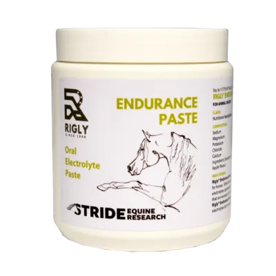 Rigly Endurance Paste 500ml