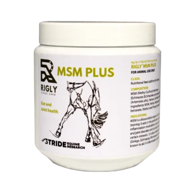 Rigly MSM Plus 500ml