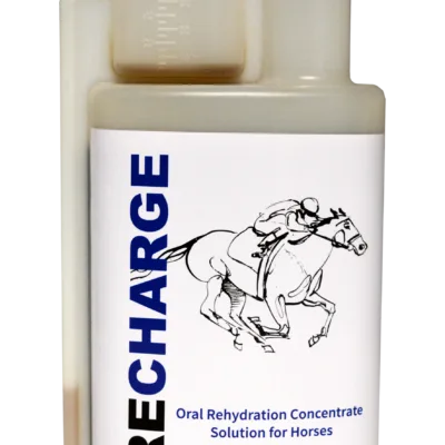 Stride Recharge 1 litre