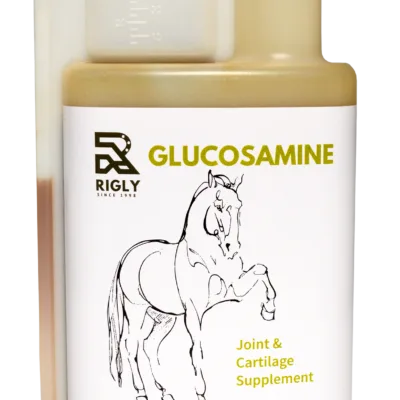 Rigly Glucosamine Lube 1 litre