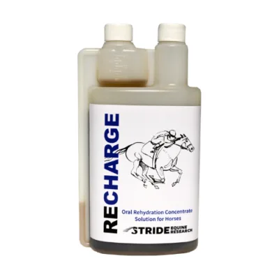 Stride Recharge 1 litre