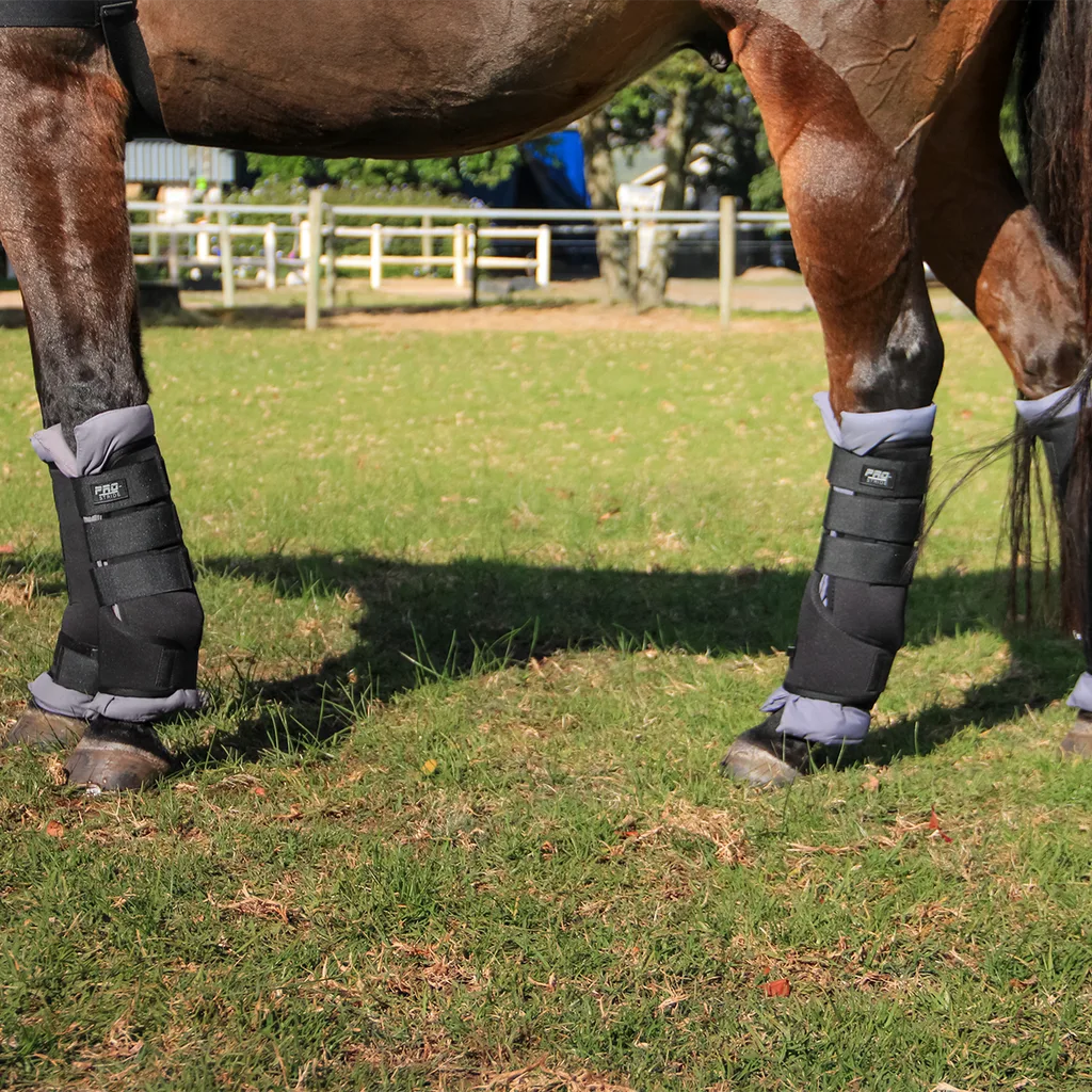 Pro Stride Stable Boots - Image 3