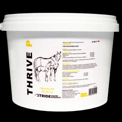 Stride Thrive P