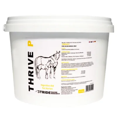 Stride Thrive P