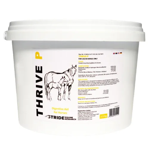 Stride Thrive P