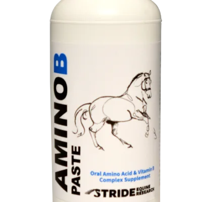 Stride Amino-B Paste