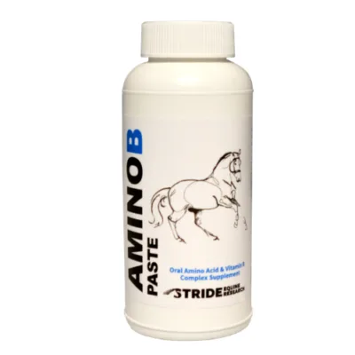 Stride Amino-B Paste