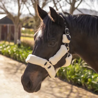 EquiStyle Comfort Fleece Halter Full