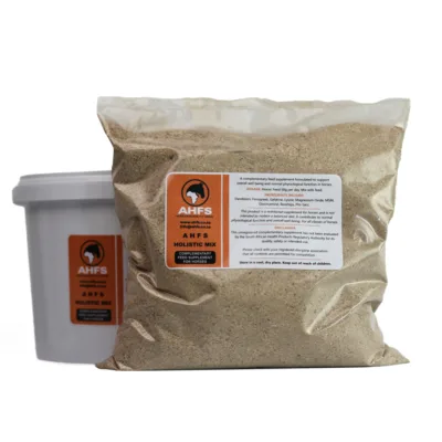 AHFS Holistic Horse