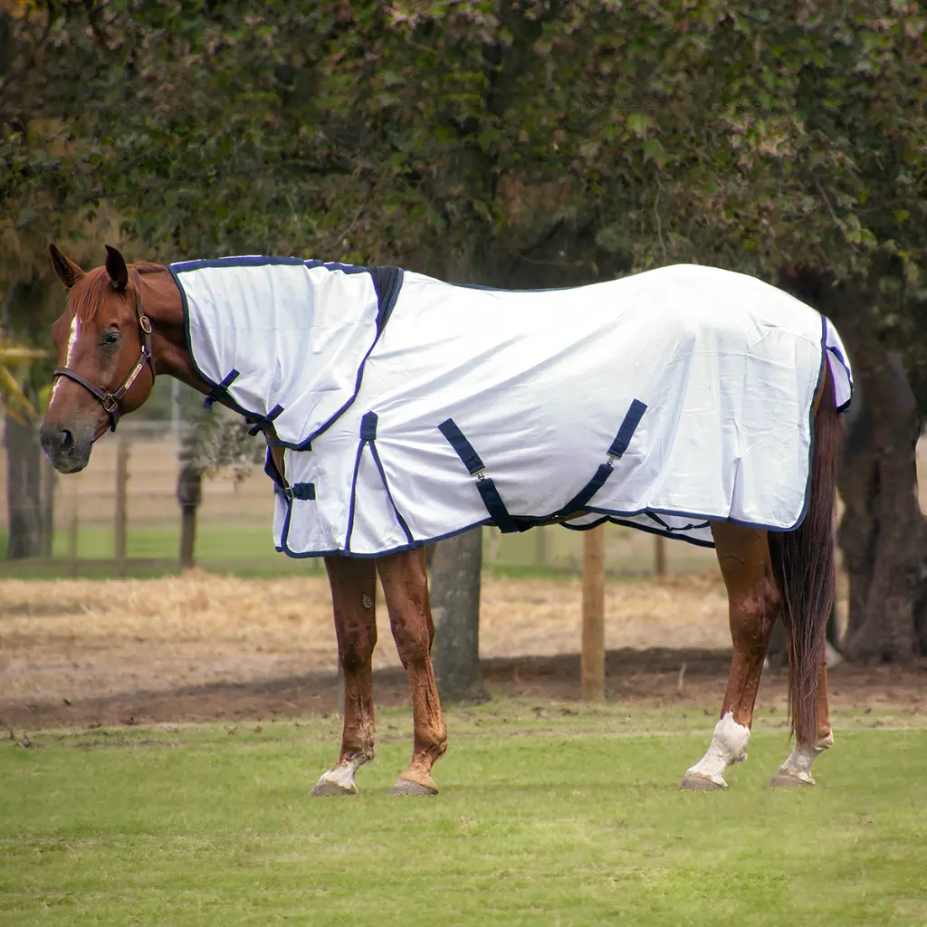 Capriole Fly Sheet with Neck
