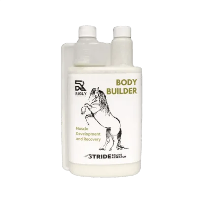 Rigly Body Builder