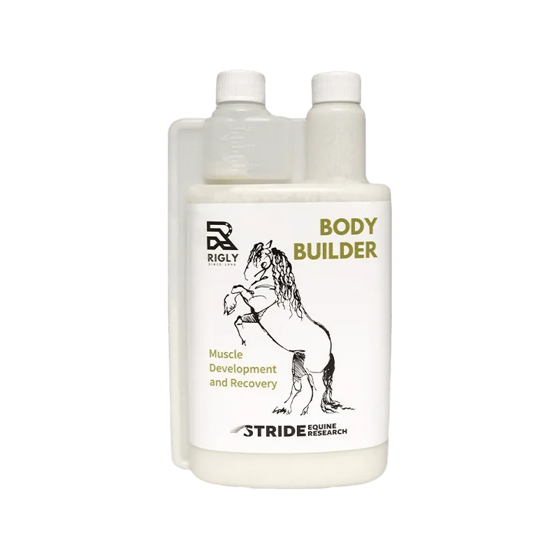 Rigly Body Builder