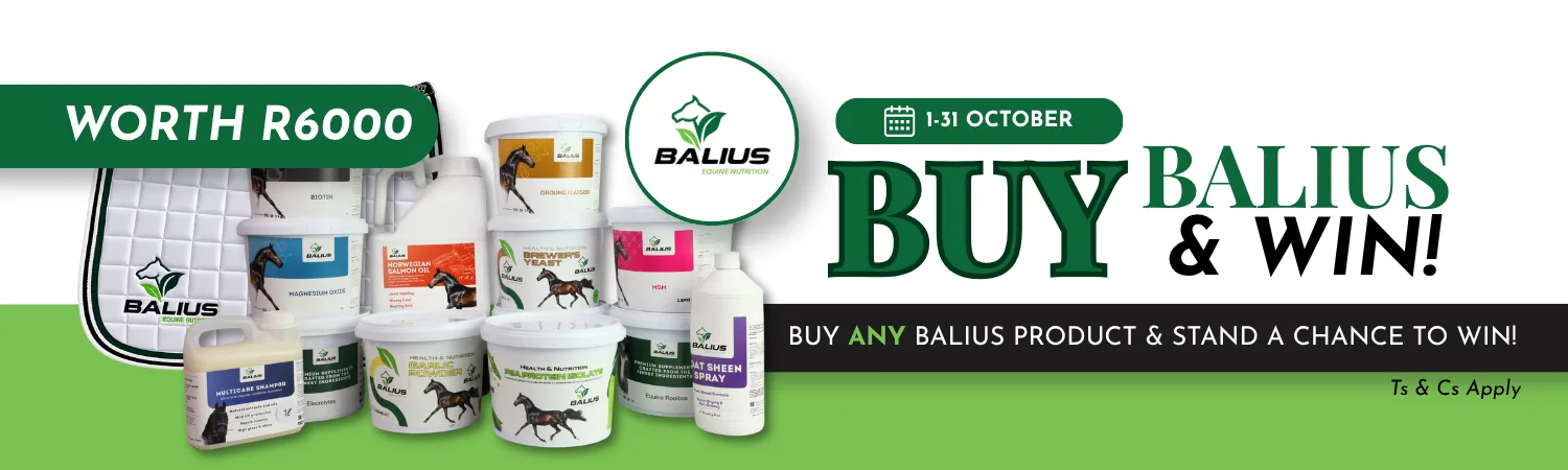 Balius Banner (2)